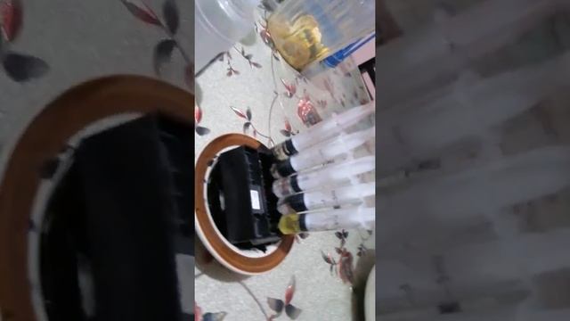 How i clean my epson l1300 head. Ecosolvent. смотреть онлайн