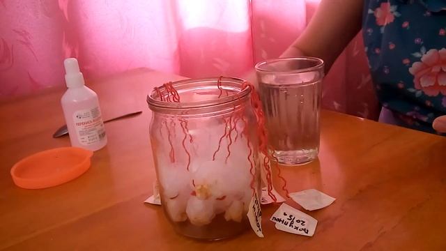 замачивание семян перца в растворе перекиси водорода смотреть онлайн