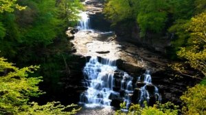 Размик Амян - "Арцах Aшхар"