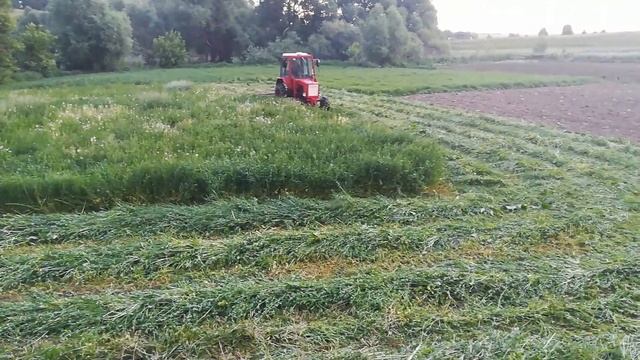 Т-25 с самодельной роторной косилкой смотреть онлайн