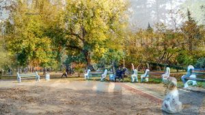 ✅Нарымский сквер.  Новосибирск