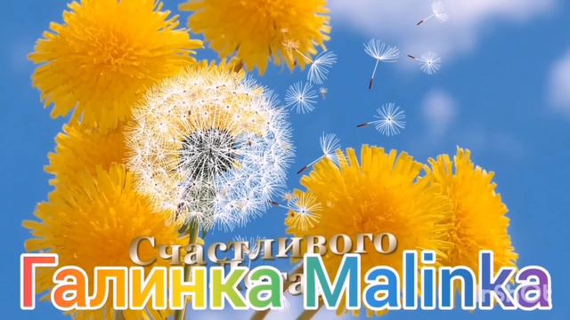 Ольга Уралочка live /Плевала она на всех /Обзор Влогов /Уралочка и Сафар /