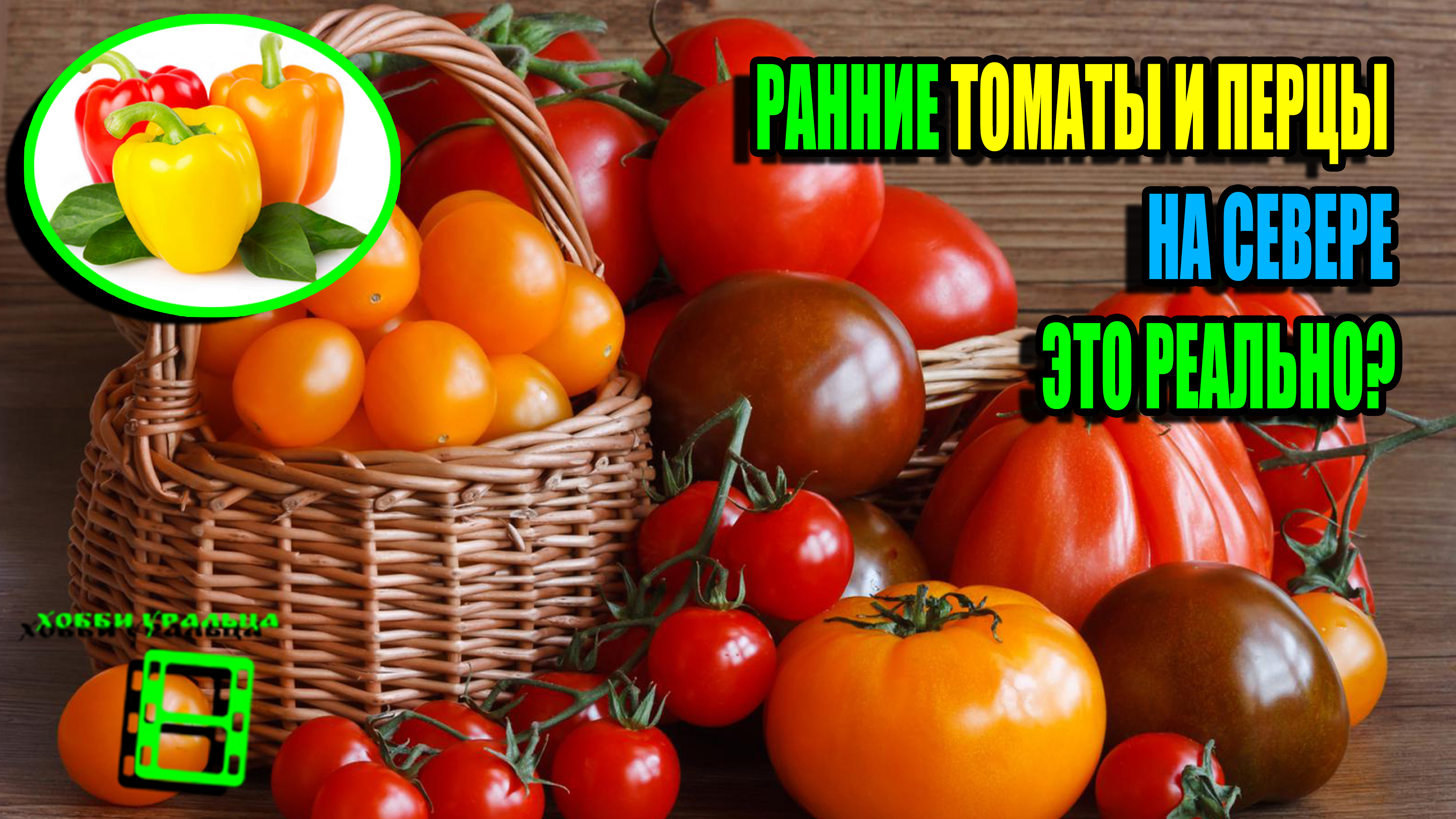 Пикировка томатов в апреле 2024 благоприятные