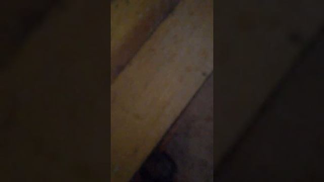 краш тест опеля смотреть онлайн