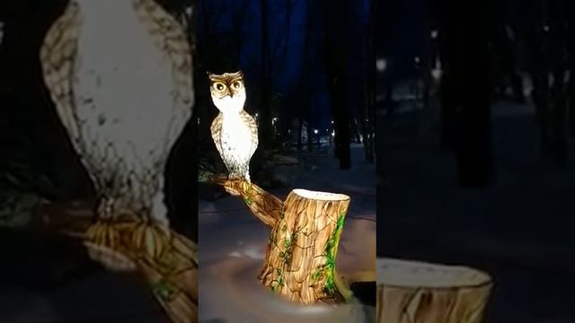 Рукотворная красота зимой Архангельск