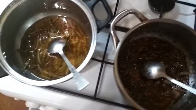 Рецепт приготовления варенья из сосновых почек.