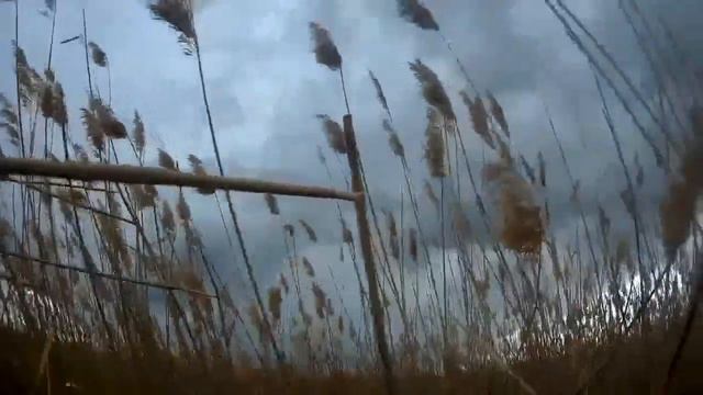 охота весной и удивительное утро. смотреть онлайн