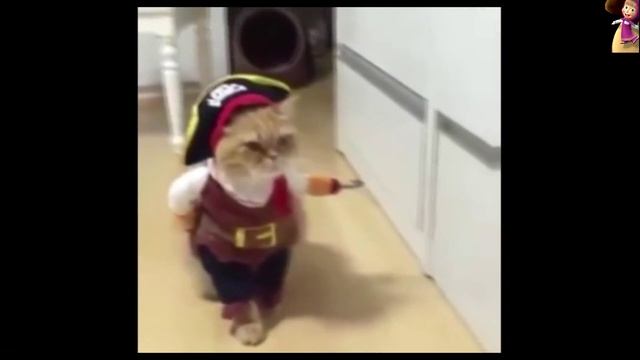 Кот Джек Воробей,Ivory Jack Sparrow. смотреть онлайн