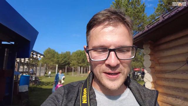 Висимская зооферма или мараловая ферма в поселке Висим, олени, лошади, страусы, хаски, павлины и пр