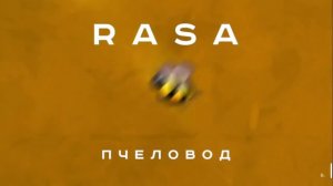 Музыка я пчела ты пчеловод.