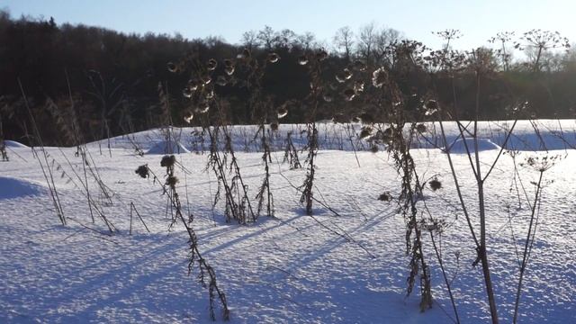 Зимняя река / 3 video sketches/ Winter river