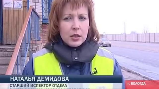 24 03 СЮЖЕТ АФРИКАНСКАЯ ЧУМА смотреть онлайн