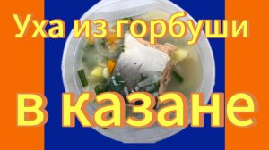 Рецепты с дачи. Уха из горбуши. Вкуснейшую уху из горбуши варим в казане, на огне. Отдых на даче.