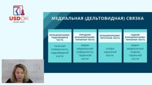 Видео урок УЗИ голеностопного сустава и стопы   анатомия