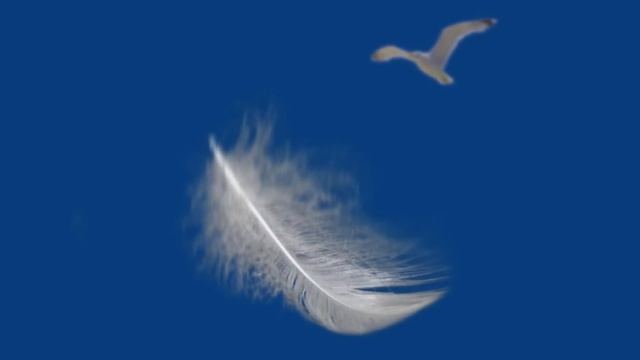 Аквариум - Дубровский. смотреть онлайн