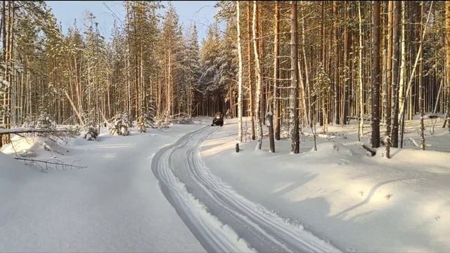 Покатушки на снегоходах 1 января 2020 года смотреть онлайн