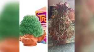 Ожидание и реальность:  60 неудачных покупок в интернете