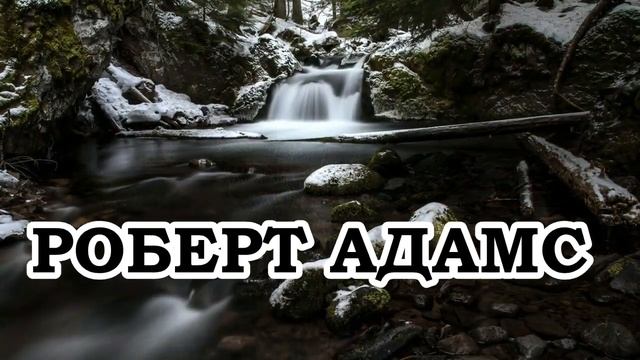 Роберт Адамс — 39 У вас обязательно должен быть свой опыт смотреть онлайн