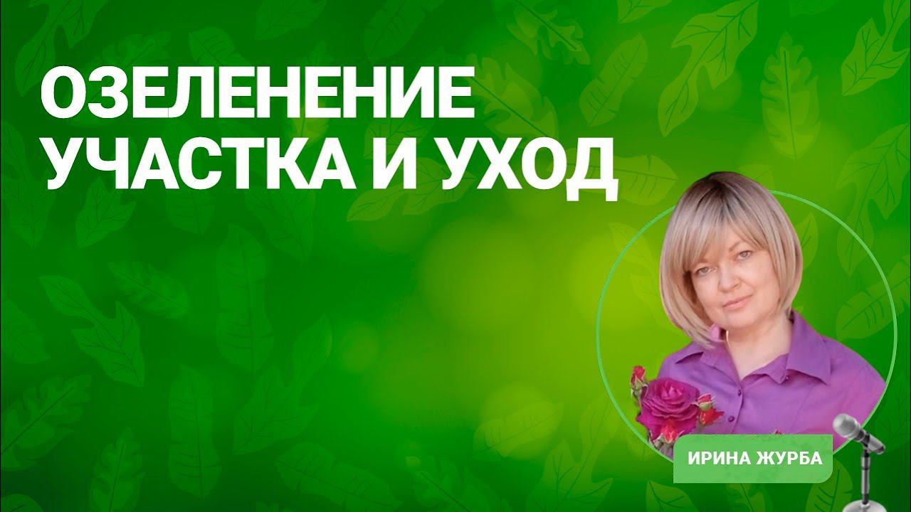 Озеленение участка и уход