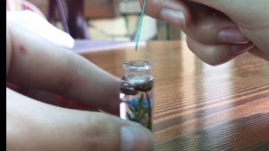 Кулоны с лесными композициями из эпоксидной смолы своими руками мастер-класс epoxy resin idea