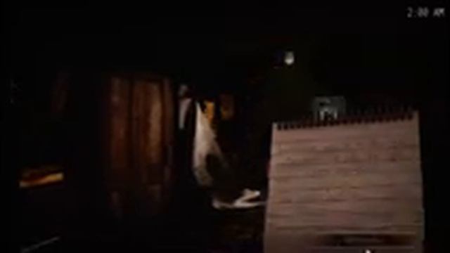 STUCK ON TREASURE ISLAND - OBLITUS CASA смотреть онлайн