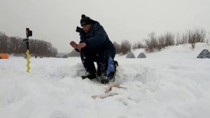 Зимняя рыбалка в глухозимье на реке .