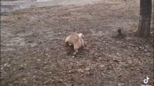 Секунда щас...