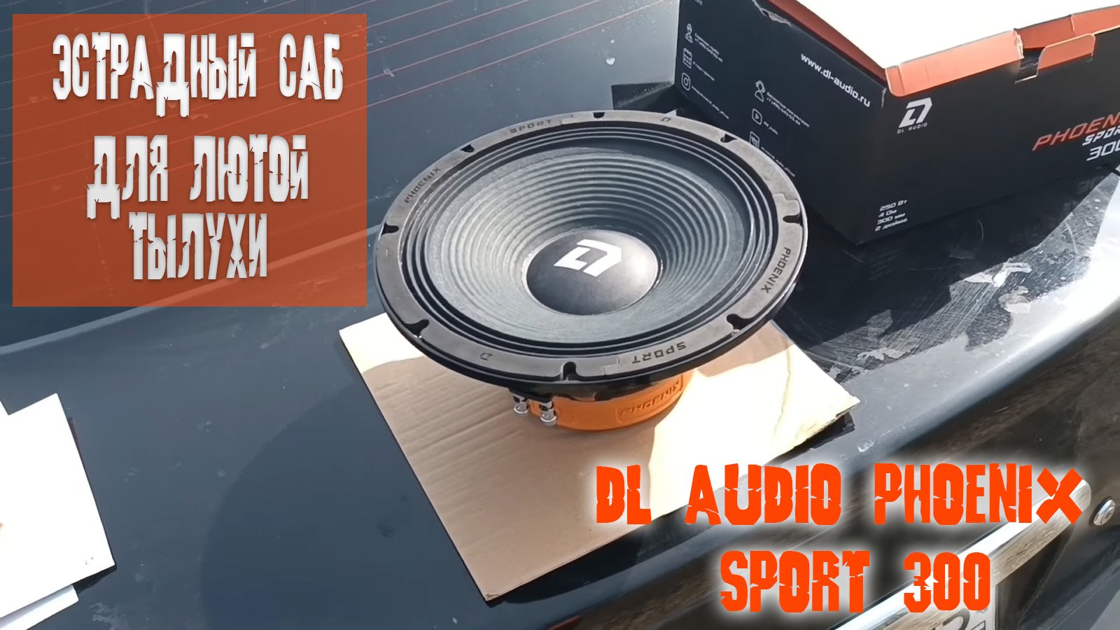 Мощнейший и при этом доступный эстрадный сабвуфер для лютого тыла! DL Audio Phoenix Sport 300