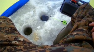 ЛОВЛЯ НА МОРМЫШКУ /ЗИМНЯЯ РЫБАЛКА /ЛОВЛЯ В ПАЛАТКЕ НА ИРТЫШЕ