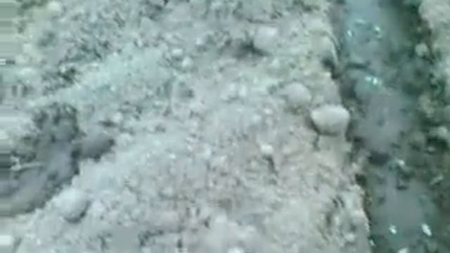 СЕЯЛКА РУЧНАЯ,отличная замена гранулированным семенам и лентам смотреть онлайн