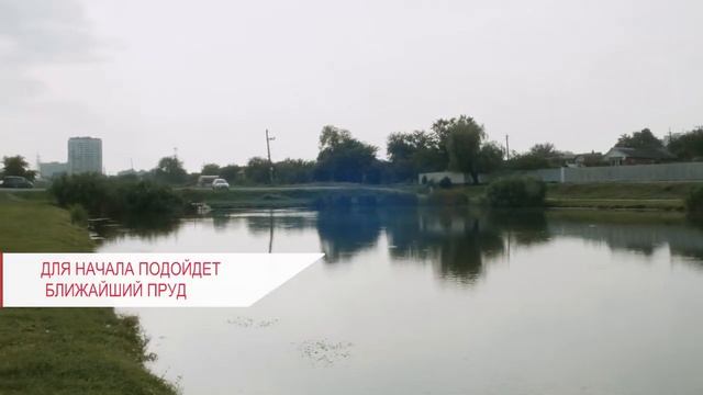 Рыбалка для новичков - как поймать свою первую рыбу | поправочная удочка, оснастка, приманка