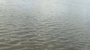 Карп 4.460 - подсак флагман=)