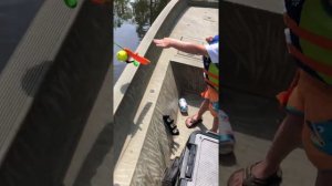 3 Year Old Tosses Rod after Catching His First Fish   ViralHog
