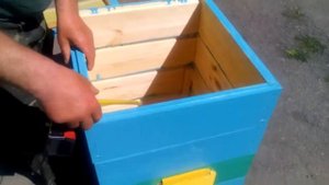 Улей для пчёл своими руками