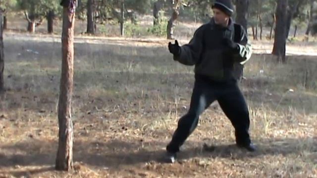 техника удары ногой смотреть онлайн