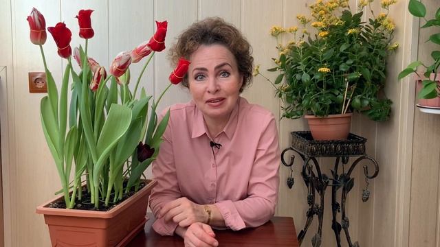ТЮЛЬПАНЫ. 7 секретов как продлить жизнь Тюльпанам. смотреть онлайн