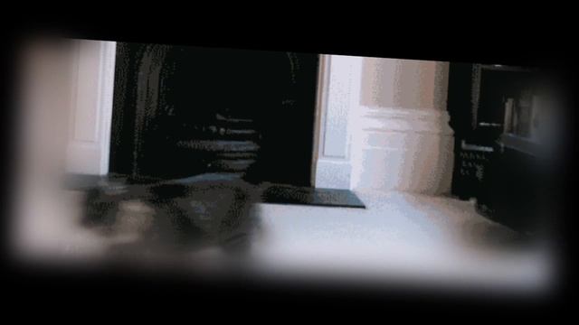 Песня про кота или "в нас чертей до черта" смотреть онлайн