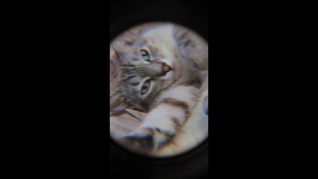 Благодать....