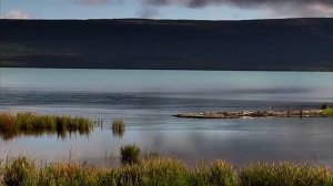 Brown Bears of Katmai Alaska | Pearls of the Planet