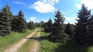 Путешествие по Белоруссии _ день 1. из Висагинаса в Браслав через латвийские леса