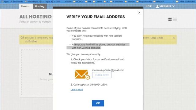 Warning Web Develper For Hire, Web Development DIY смотреть онлайн