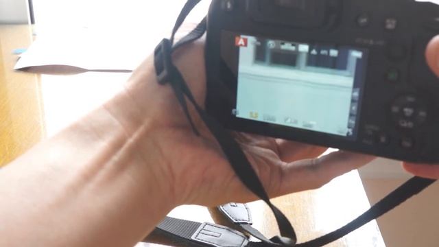 Panasonic DMW-LT55 telephoto lens with FZ82 / FZ80 Zoom (No adapter) смотреть онлайн