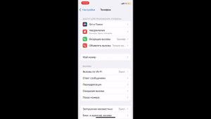 Как включить и отключить голос при звонке на iPhone