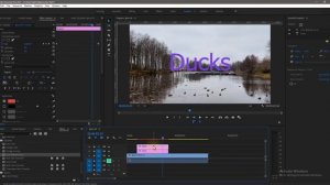 Эффект Мигания Цвета в Тексте и Видео в Premiere Pro