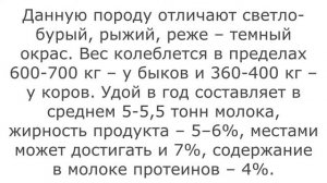 Лучшие молочные породы коров