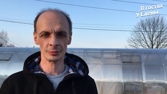 Искореняющая обработка сада. Обработка плодового сада от болезней и вредителей