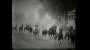 Успехи Конного завода Восход 1960 г, Новокубанский район Краснодарский край