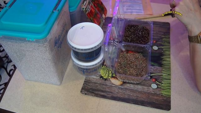 ПЕРВЫЕ ВСХОДЫ ТОМАТОВ! ЧТО ДЕЛАТЬ ДАЛЬШЕ. 2018 г. смотреть онлайн