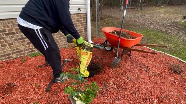 Наш первый сад в новом доме! Нужен совет, подскажите…***Америка для нас смотреть онлайн