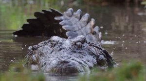 Сплав на байдарке Арсений и Макар